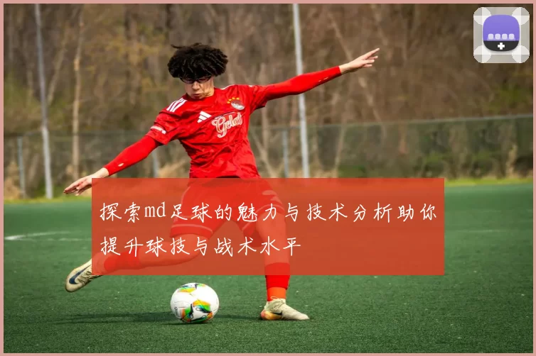 探索md足球的魅力与技术分析助你提升球技与战术水平